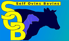 Self Ovins Bovins